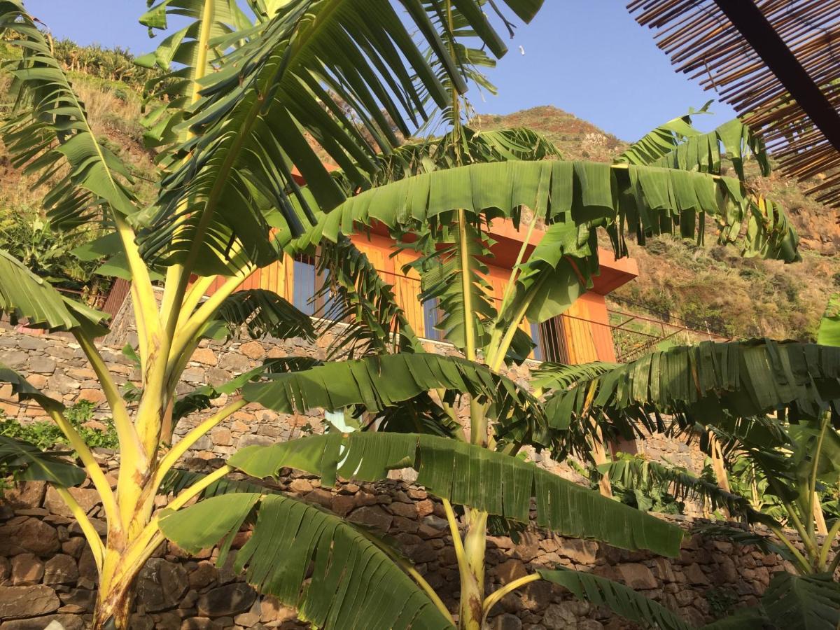 Mango House Villa Arco da Calheta  Exterior photo